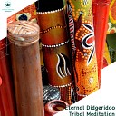 Paul Ecstatic Tribal Dance Project - Colors Of Tribed Ethnic Didgeridoo