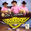 Trio Dorado Hidalguense - Corrido de Israel