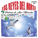Los Reyes Del Norte - Somos Iguales