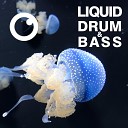 Dreazz - Liquid Drum Bass Sessions 2020 Vol 23 The Mix