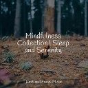 Meditation Awareness Meditation Stress Relief Therapy Tranquil Music Sound of… - Music for Drifting Off