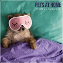 Calm Pets Music Academy - Dog Sleep Music Calm New Age Songs