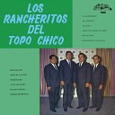 Los Rancheritos Del Topo Chico - Mil Cositas