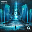 Peetu S - Afterlife Extended Mix