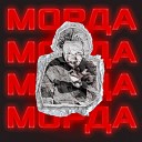 МОРДА - Молли моушн