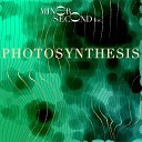 Minor Second Inc - Photosynthesis