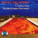 RED HOT CHILI PEPPERS - 15.RED HOT CHILI PEPPERS & DJ VINI - HALLO REMIX