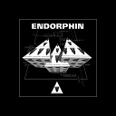 Endorphin - Share Your Pain