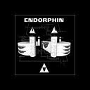 Endorphin - The Great Strife