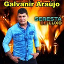 Galvanir Ara jo - Minha Decis o