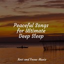 Relaxing Spa Music Deep Sleep Meditation Deep Sleep… - To Calm the Water