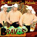 Los Tremendos Bravos De Sinaloa - Nada Gano Con Quererte