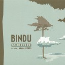Bindu - Live Each Moment