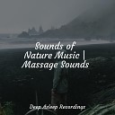 Oasis de D tente et Relaxation Ambient Forest Binaural Beats Brain Waves Isochronic Tones Brainwave… - Tantra Massage