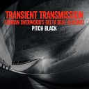 Pitch Black - Transient Transmission Adrian Sherwood s Delta B 0 B…