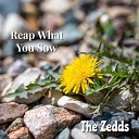 The Zedds - Reap What You Sow