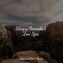 Smart Baby Lullaby The Sleep Helpers Nature Sounds Nature… - Living in the Present