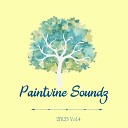 Paintvine Soundz - Theme Park 2Tk23