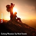 Steve Brassel - Calming Mountain Top Wind Sounds Pt 5