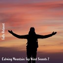 Steve Brassel - Calming Mountain Top Wind Sounds Pt 4