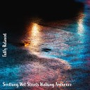 Steve Brassel - Soothing Wet Streets Walking Ambience Pt 5