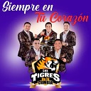 Los Tigres De La Cumbia - Mix Goza Goza Mil Botellas Vienes y Te Vas Coraz n de Piedra El Amor Es…