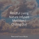 Relaxation Sleep Meditation Childrens Music Kinderlieder… - Trance and Zen