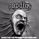 The Prodigy80 - No Good Start The Dance CJ Bolland Remix