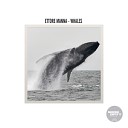 Ettore Manna - Whales Radio Edit
