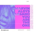 Marvin Aloys LeSano CASSIMM - You Are The One CASSIMM Extended Remix