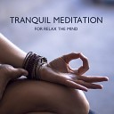 Deep Meditation Music Zone - Pure Inner Harmony with Nature Sounds