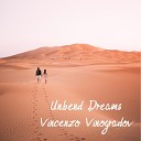 Vincenzo Vinogradov - Comfortless Peace