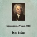 Виктор Пикайзен - Соната для скрипки соло 2 ля минор BWV 1003 Отрывок…