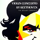 The Healing Project Schola Camerata - Violin Concerto By Beethoven To Study Deeply