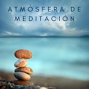 The Healing Project Schola Camerata - Atm sfera de Meditaci n