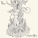 Elephant Tree - In Suffering