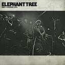 Elephant Tree - In Suffering Live