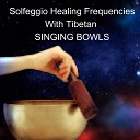 Emiliano Bruguera - 417 Hz Powerful Healing Frequency with Tibetan Singing…