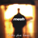 Mesh - Confined