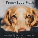RelaxMyDog Dog Music Zone Puppy Music Therapy - Banff Park Breeze