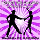 Meandilson and His Orchestra - Cha cha souris