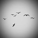 NOGOTOMO - Стая птиц