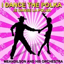 Meandilson and His Orchestra - Polka danse