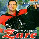 Zarko Blagojevic Zare - Lav Kolo Accordion Music