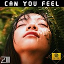 Zilli - Can You Feel Extended Mix