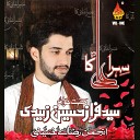 Syed Faraz Hussain Zaidi - Aal E Nabi Ke