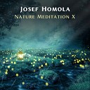 Josef Homola - Beyond The Trees