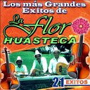 La Flor Huasteca - Piquetes de Hormiga