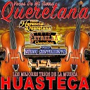 Trio Herencia Queretana Trio Estrella Queretana Trio Nuevo Sentimiento Trio San Juan… - Cantandole a Mi Huasteca