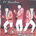 Trio Cardenal Hidalguense - Texana 100X